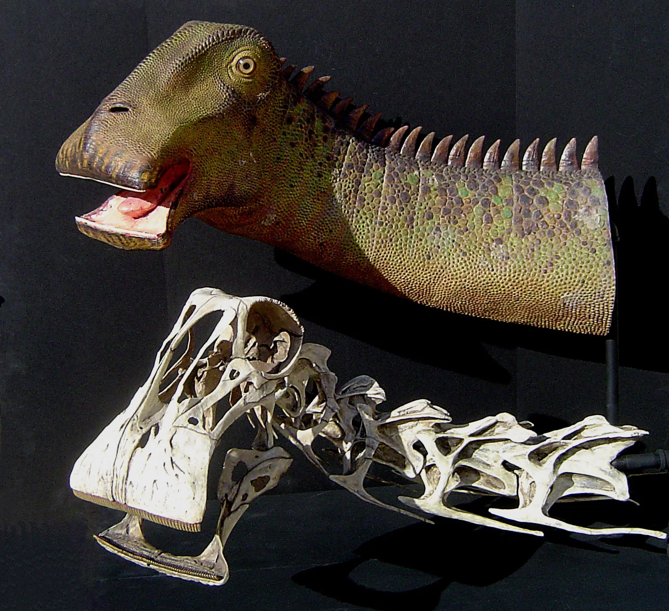Nigersaurus — Tyler Keillor